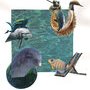 Les chimères supérieures